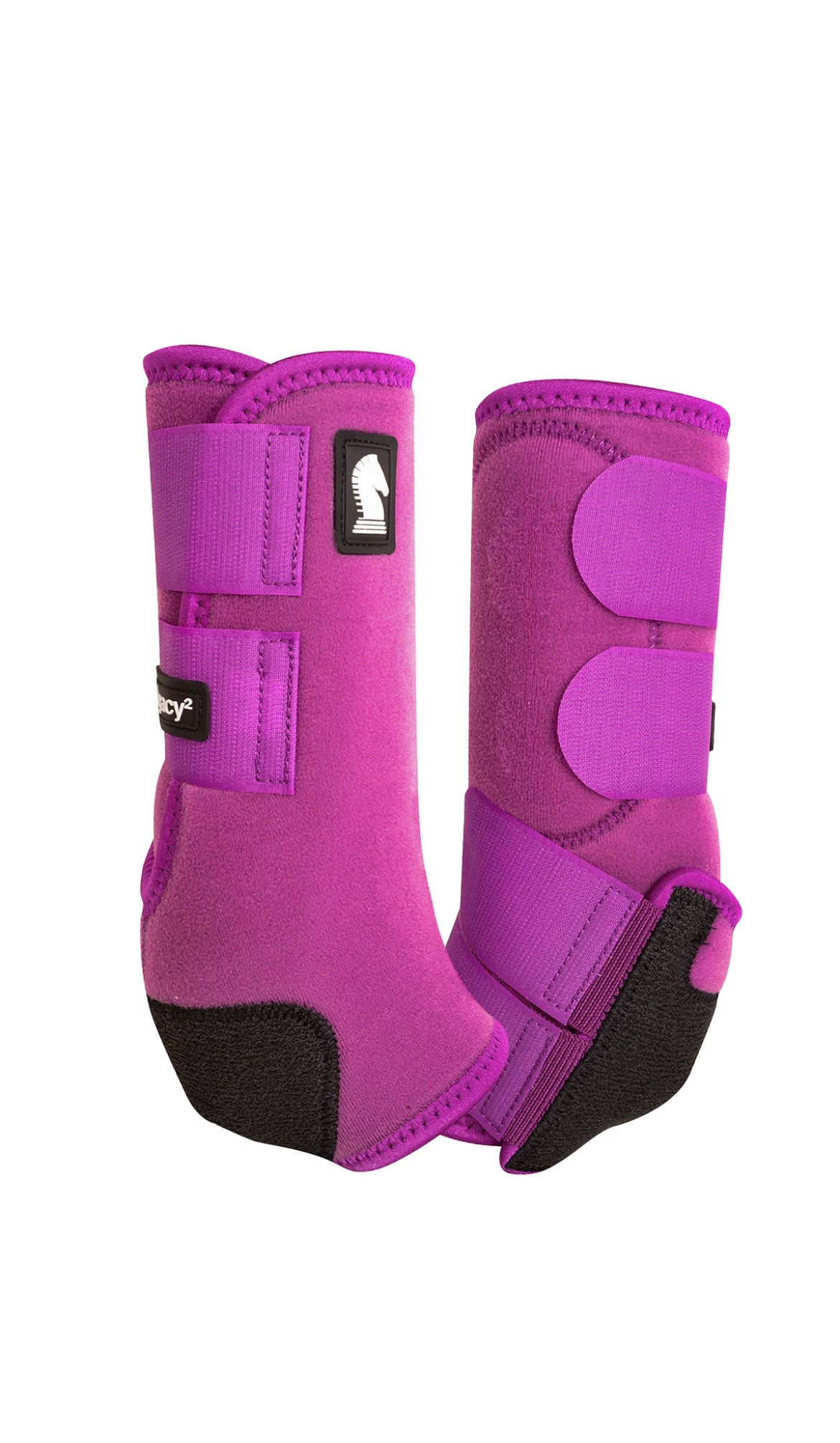 Classic Legacy2 HIND Boots