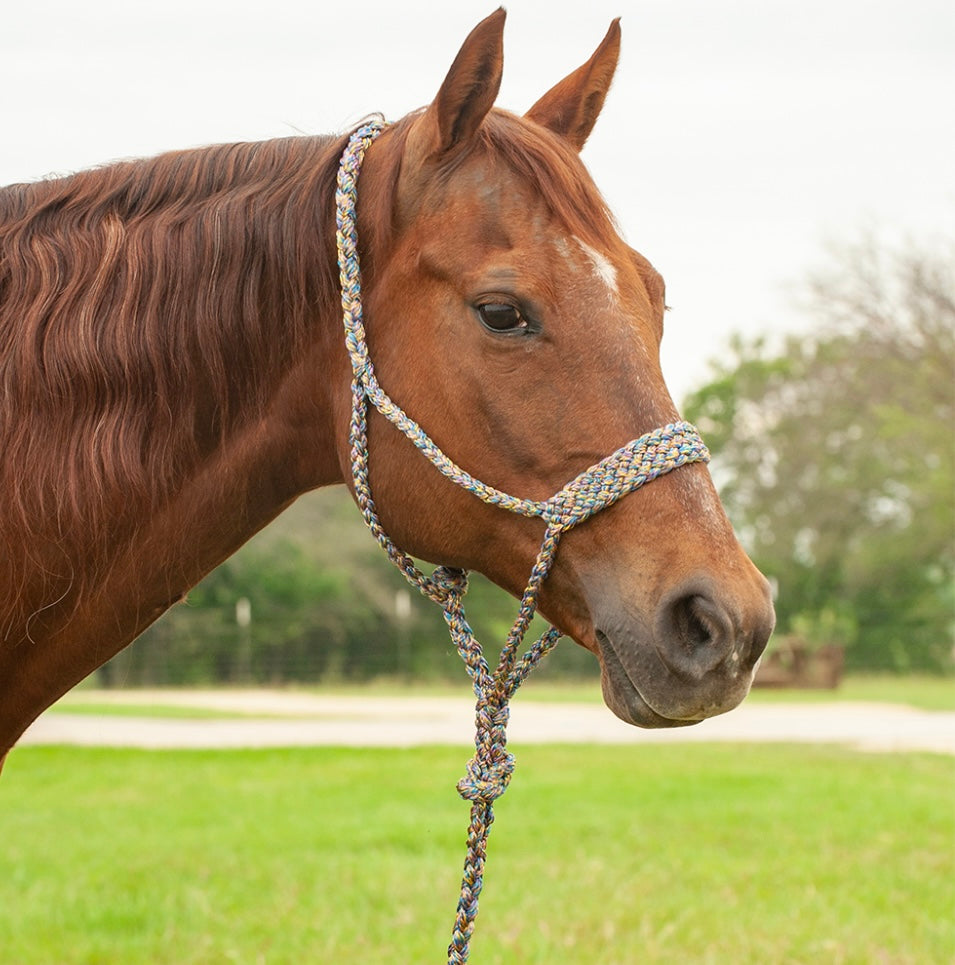 Cashel Flat Braid Halter and Leadrope