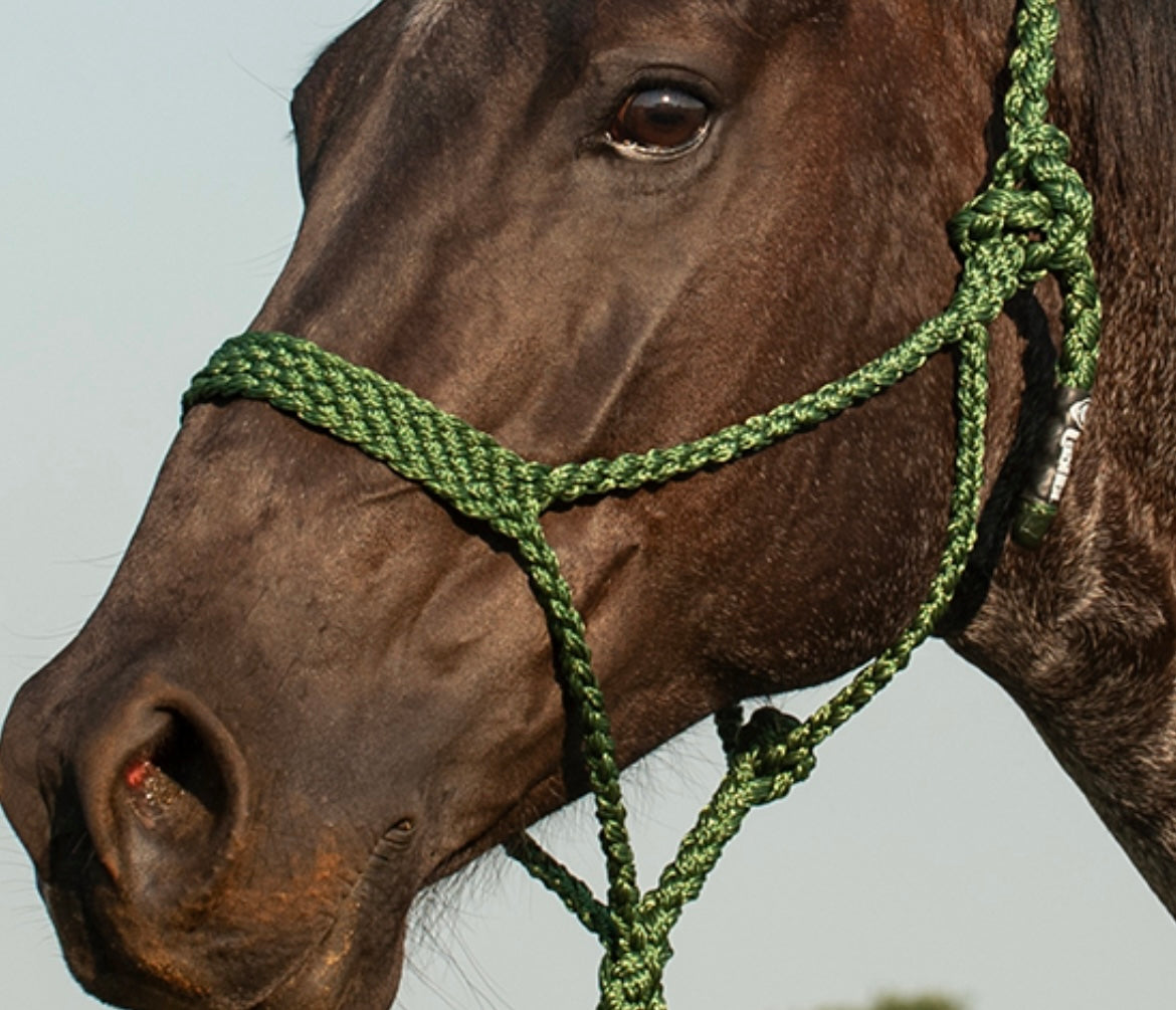 Cashel Flat Braid Halter and Leadrope