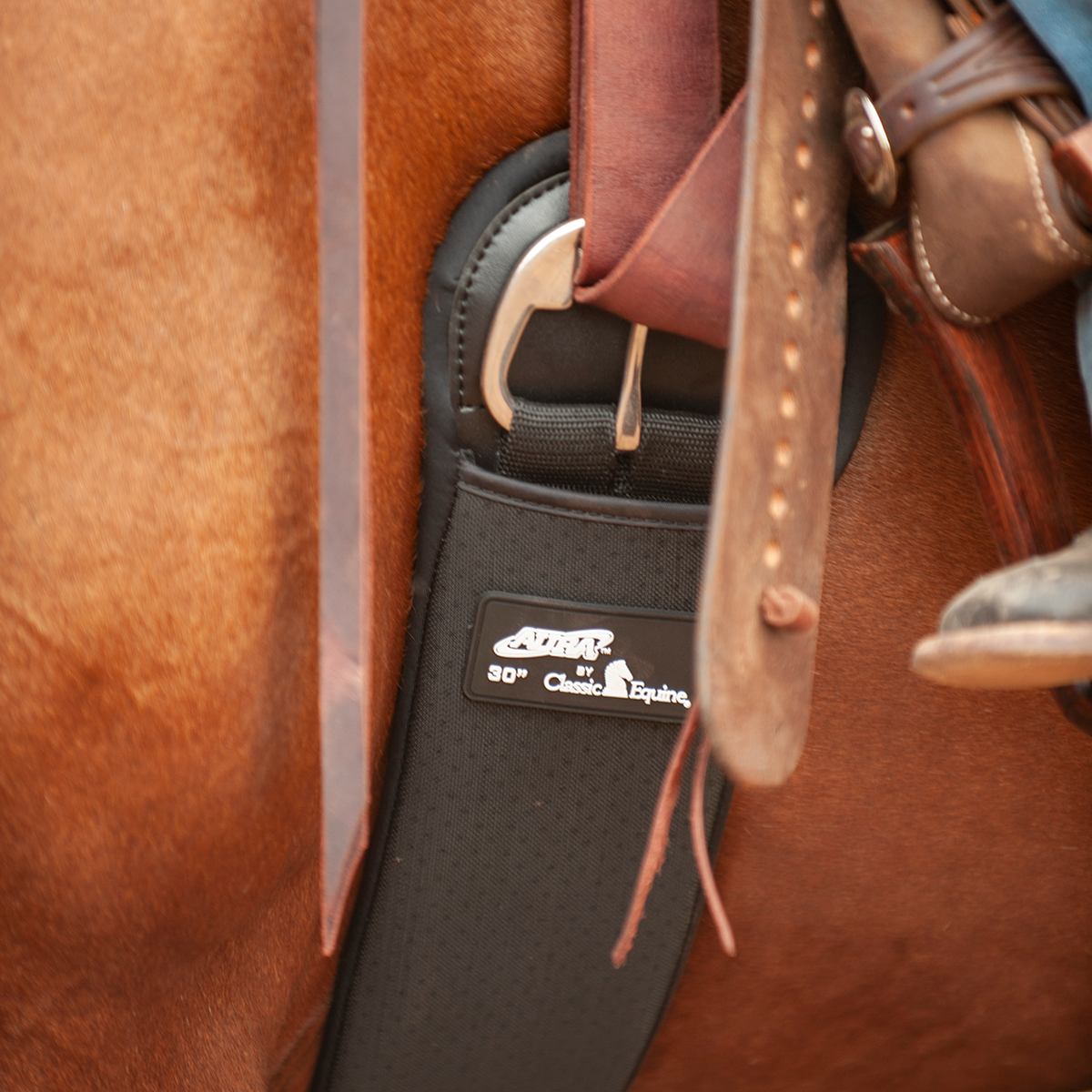 Classic Equine Aura Straight Cinch